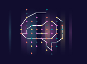 brain